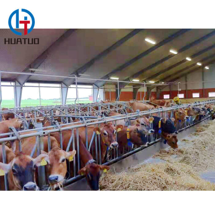 Ireland Cattle Shed